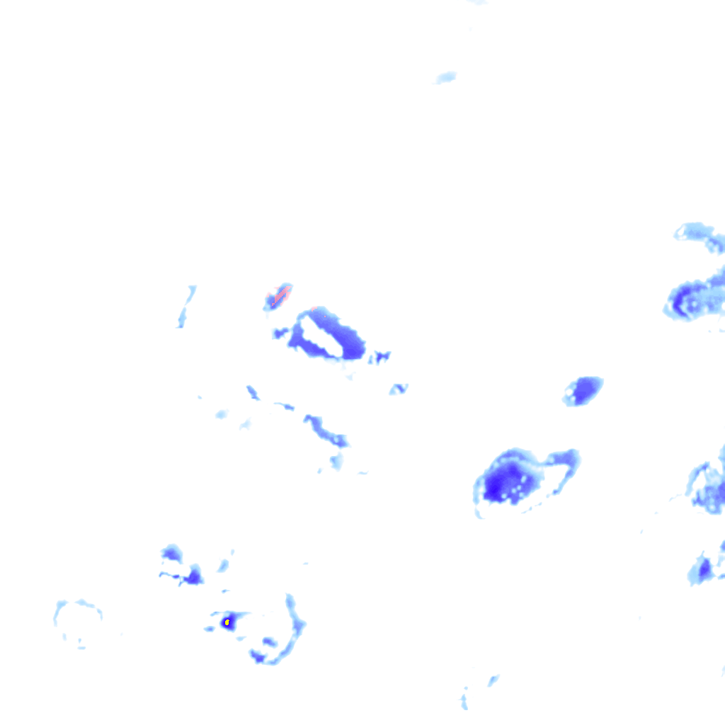 rainLayer