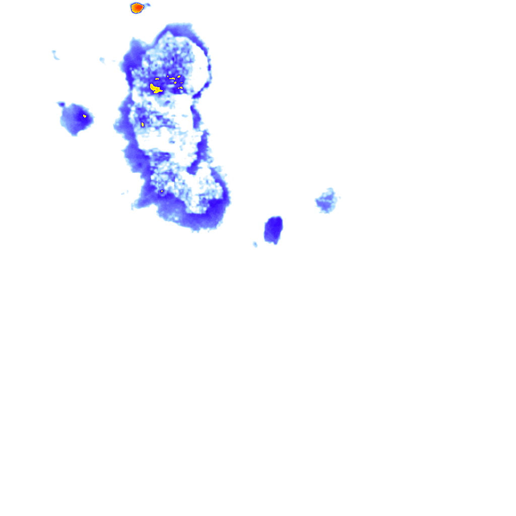 rainLayer