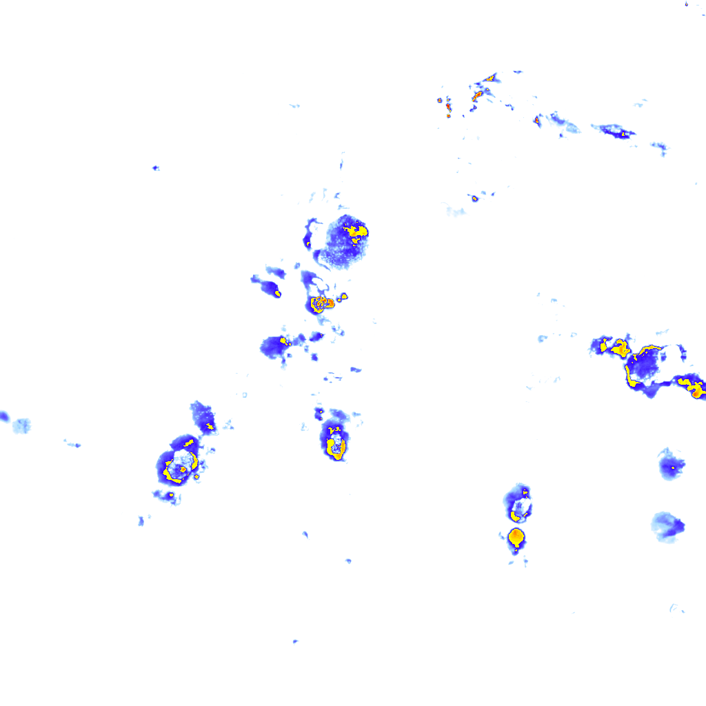 Image Layer