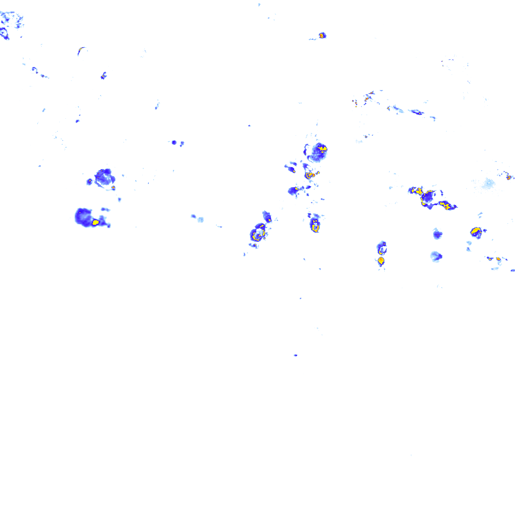 rainLayer