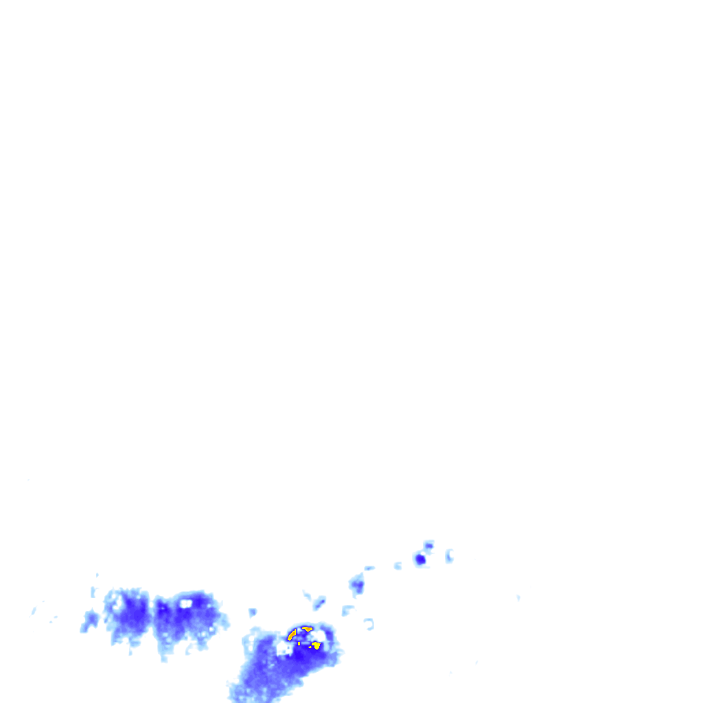 rainLayer