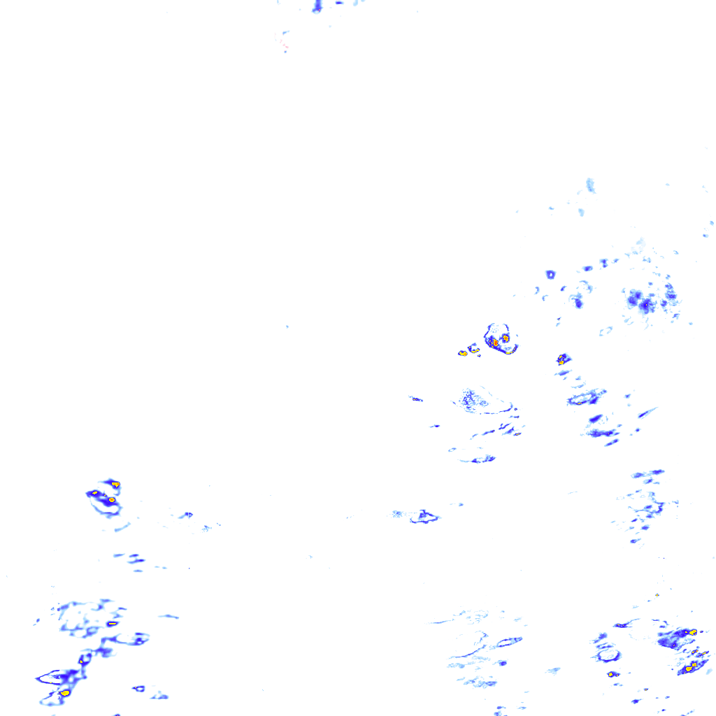 rainLayer