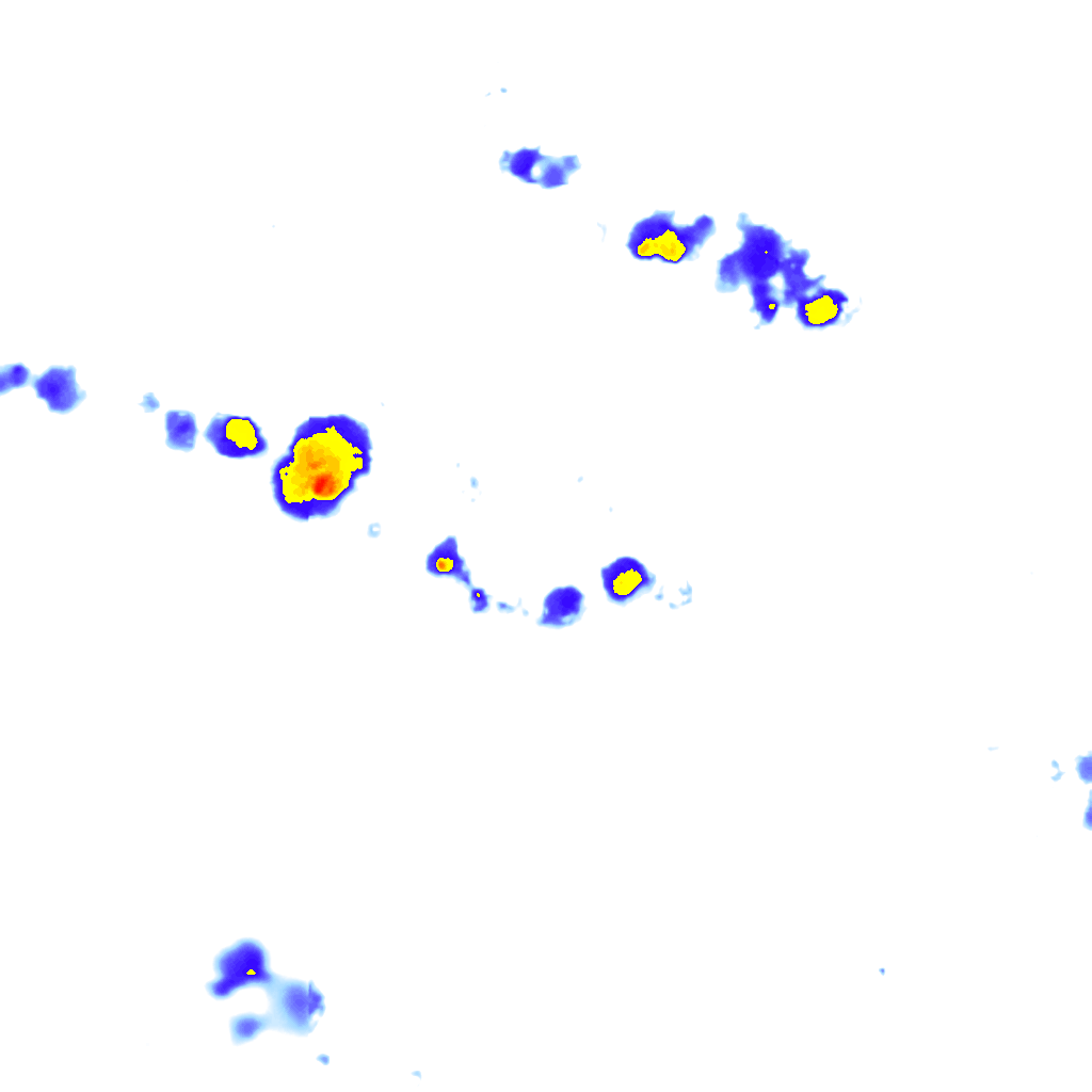 Image Layer
