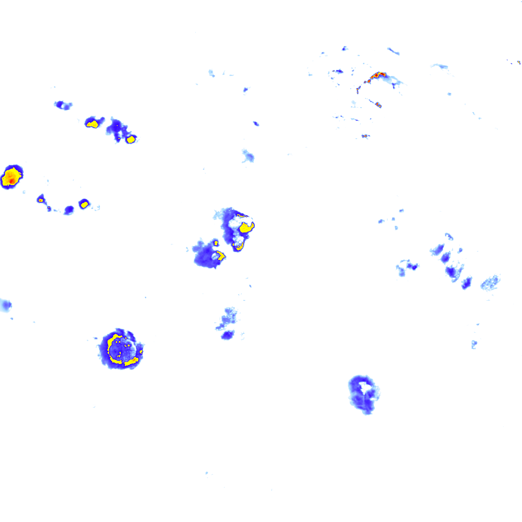 Image Layer