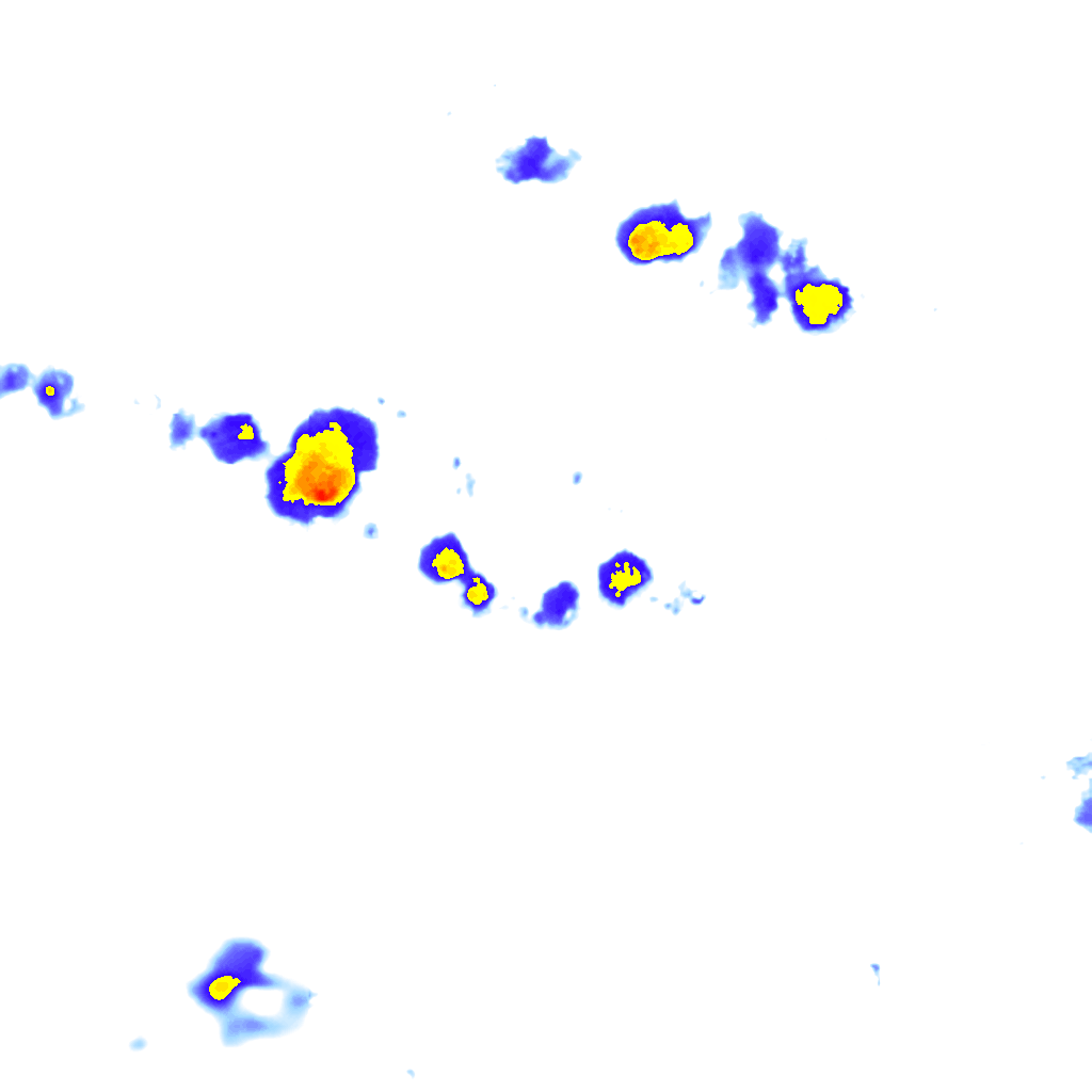 Image Layer