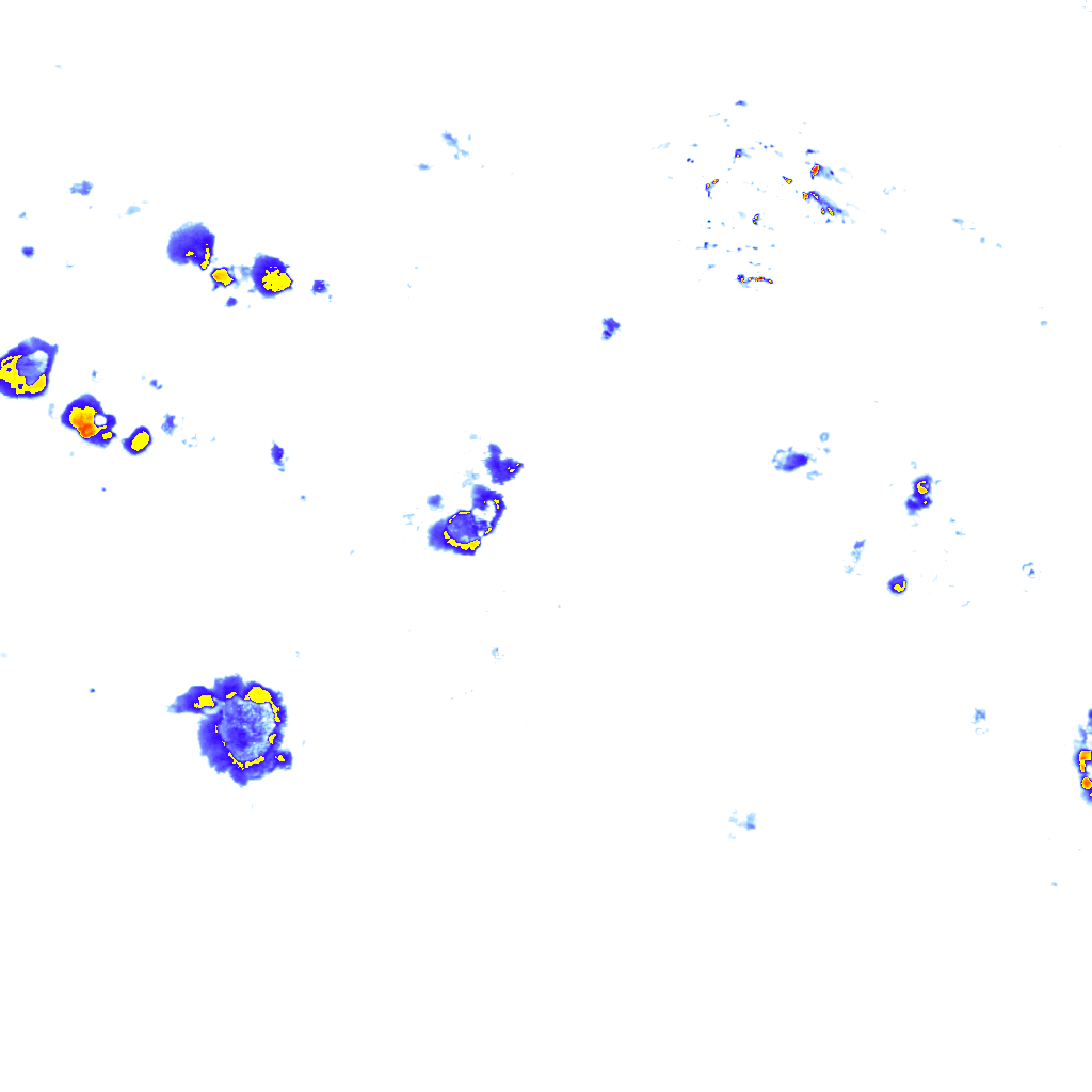 Image Layer
