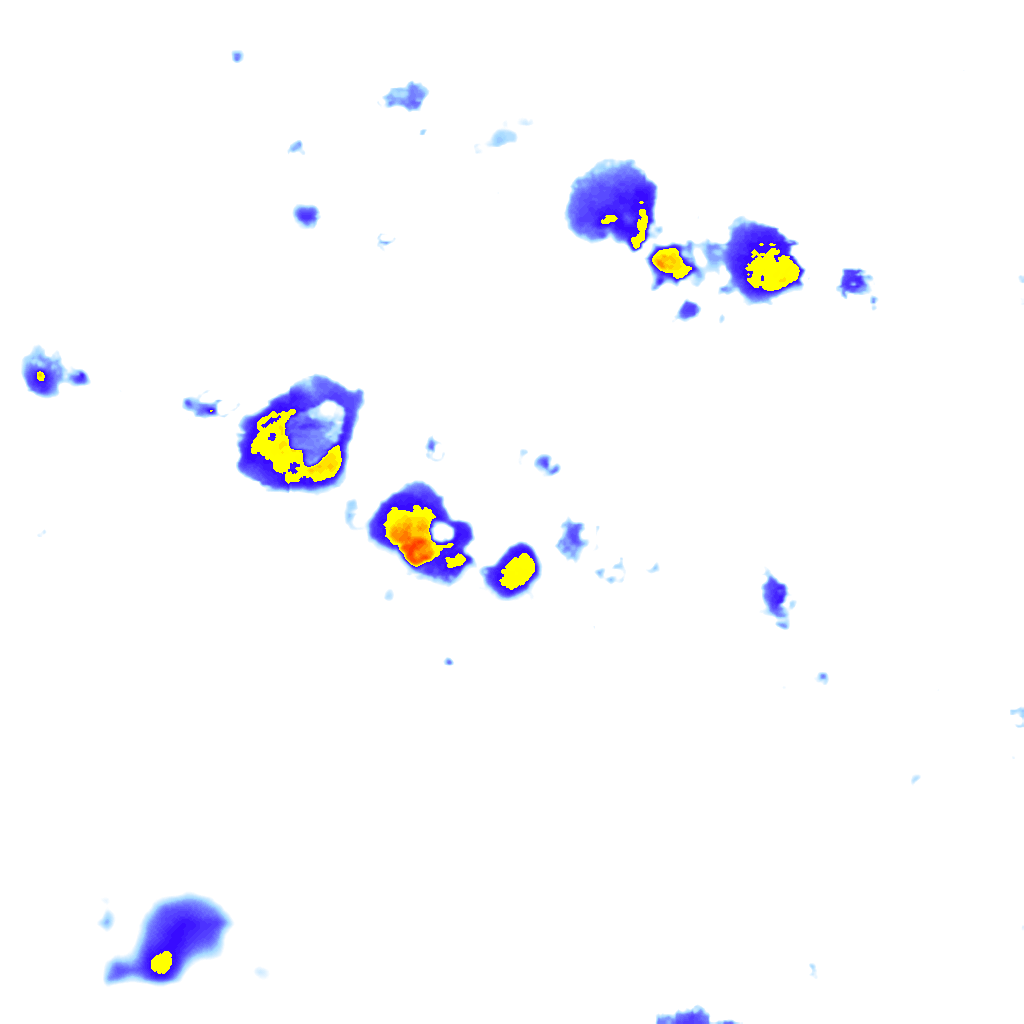Image Layer