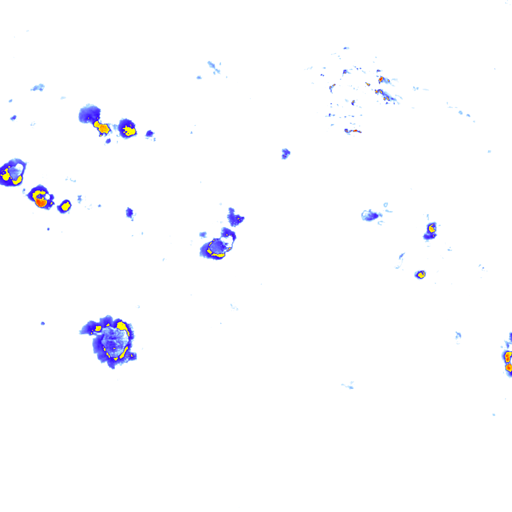 Image Layer