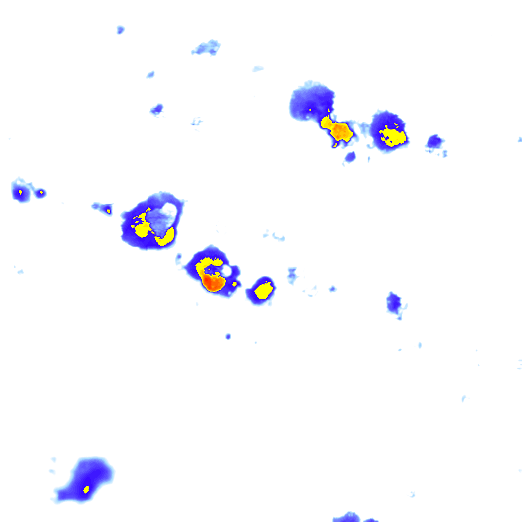 Image Layer