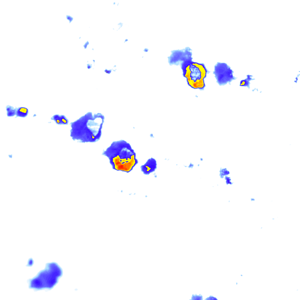 Image Layer