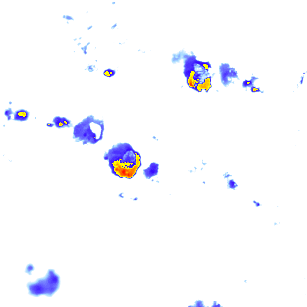 Image Layer
