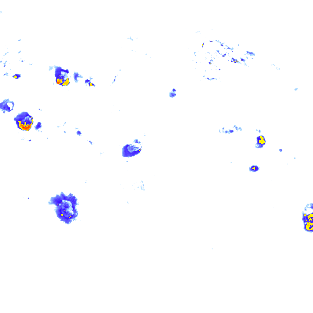 rainLayer