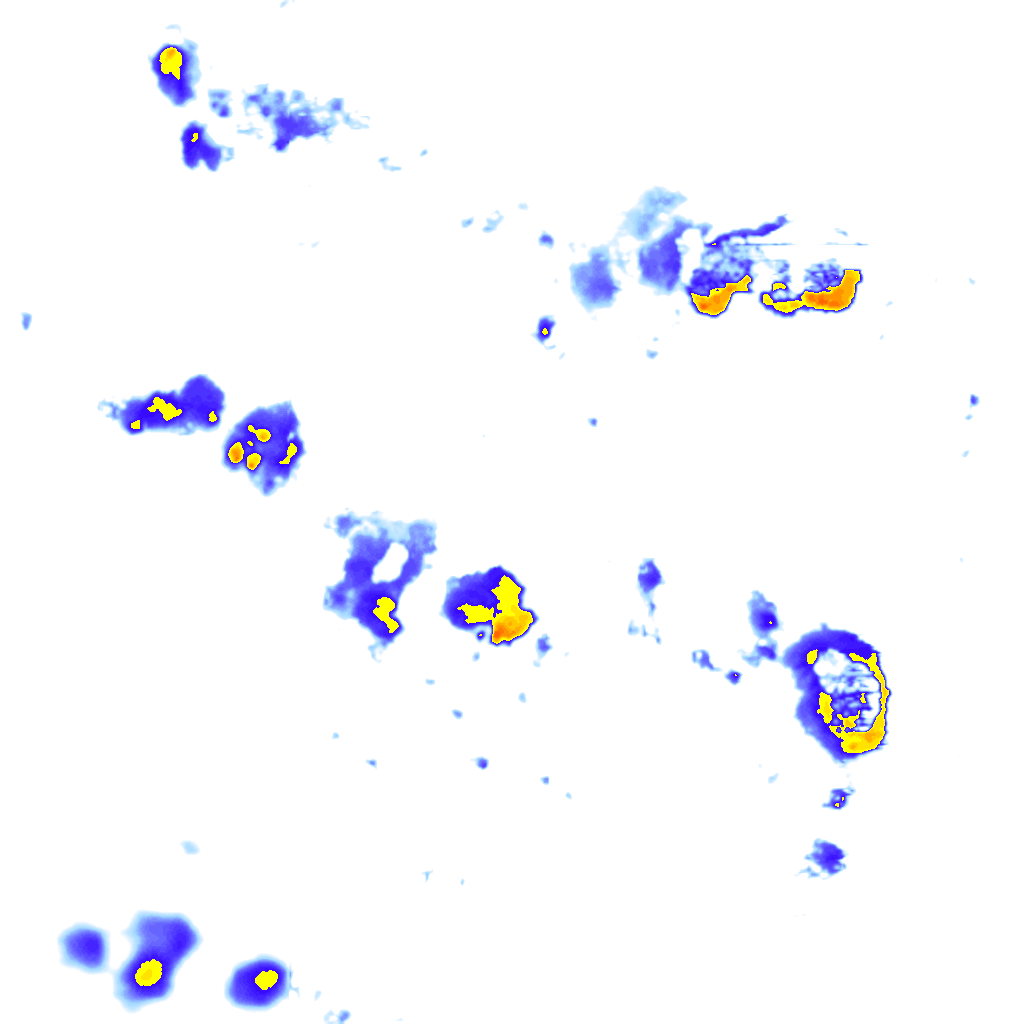 Image Layer