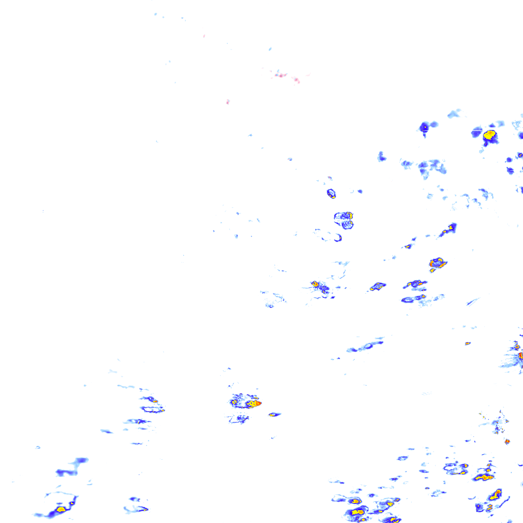 rainLayer