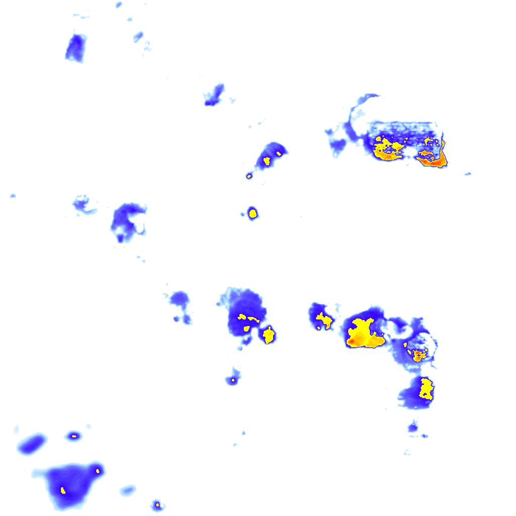 Image Layer