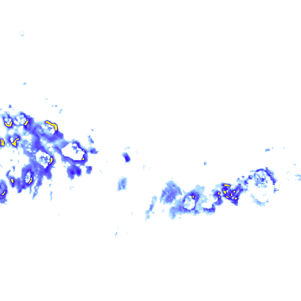 rainLayer