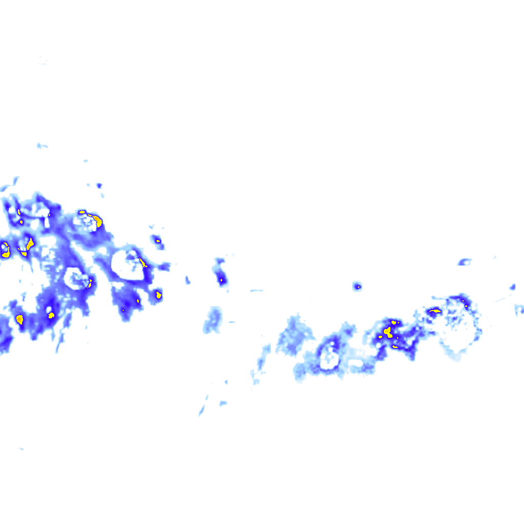 rainLayer
