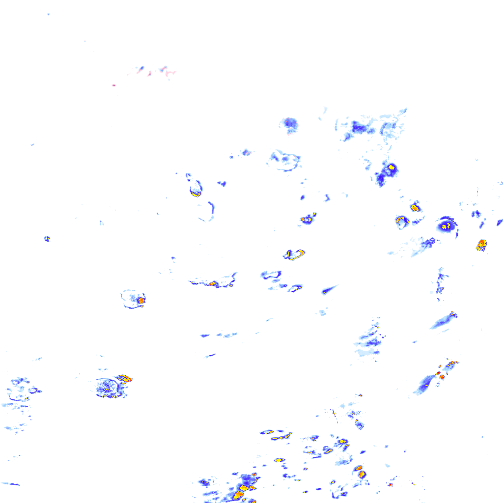 rainLayer