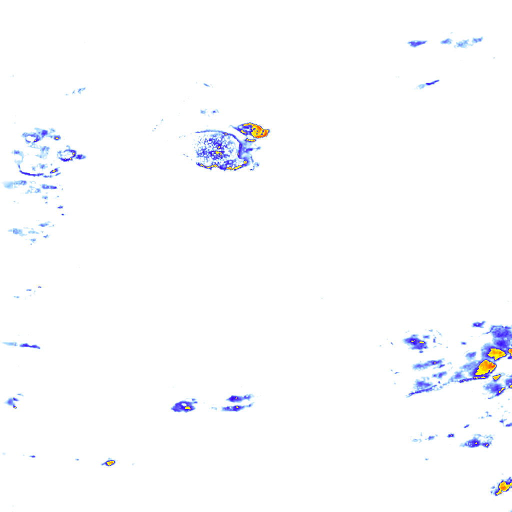 rainLayer