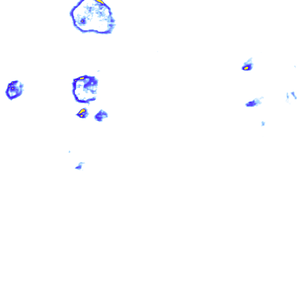 rainLayer