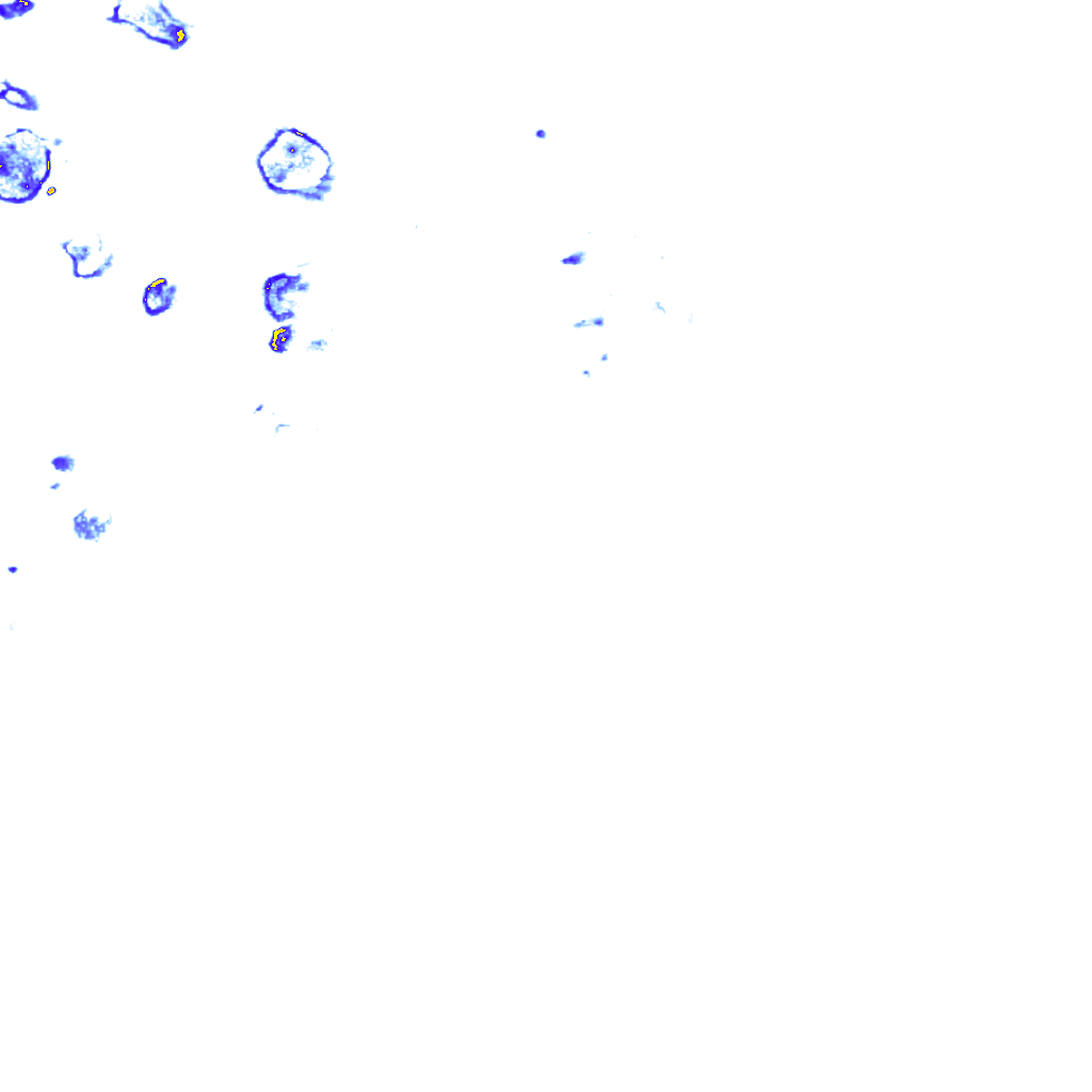 rainLayer