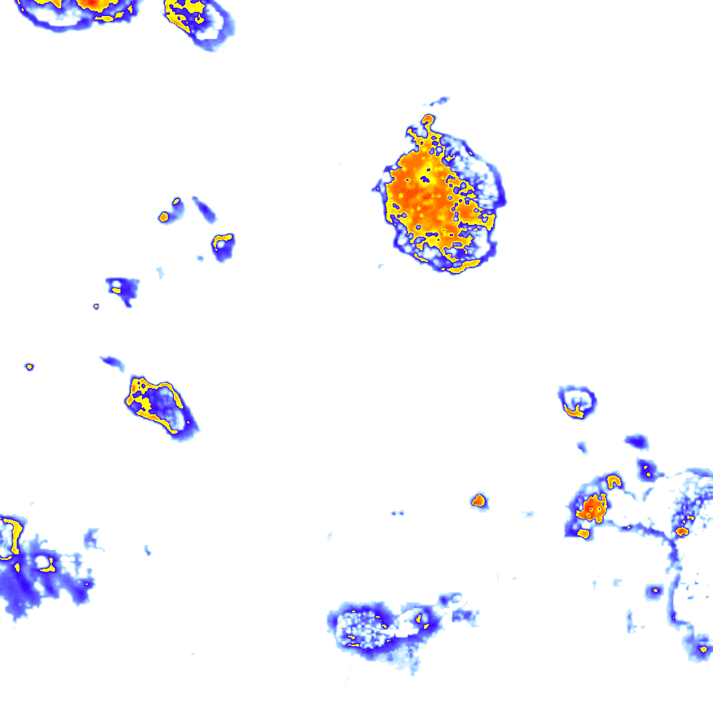 rainLayer