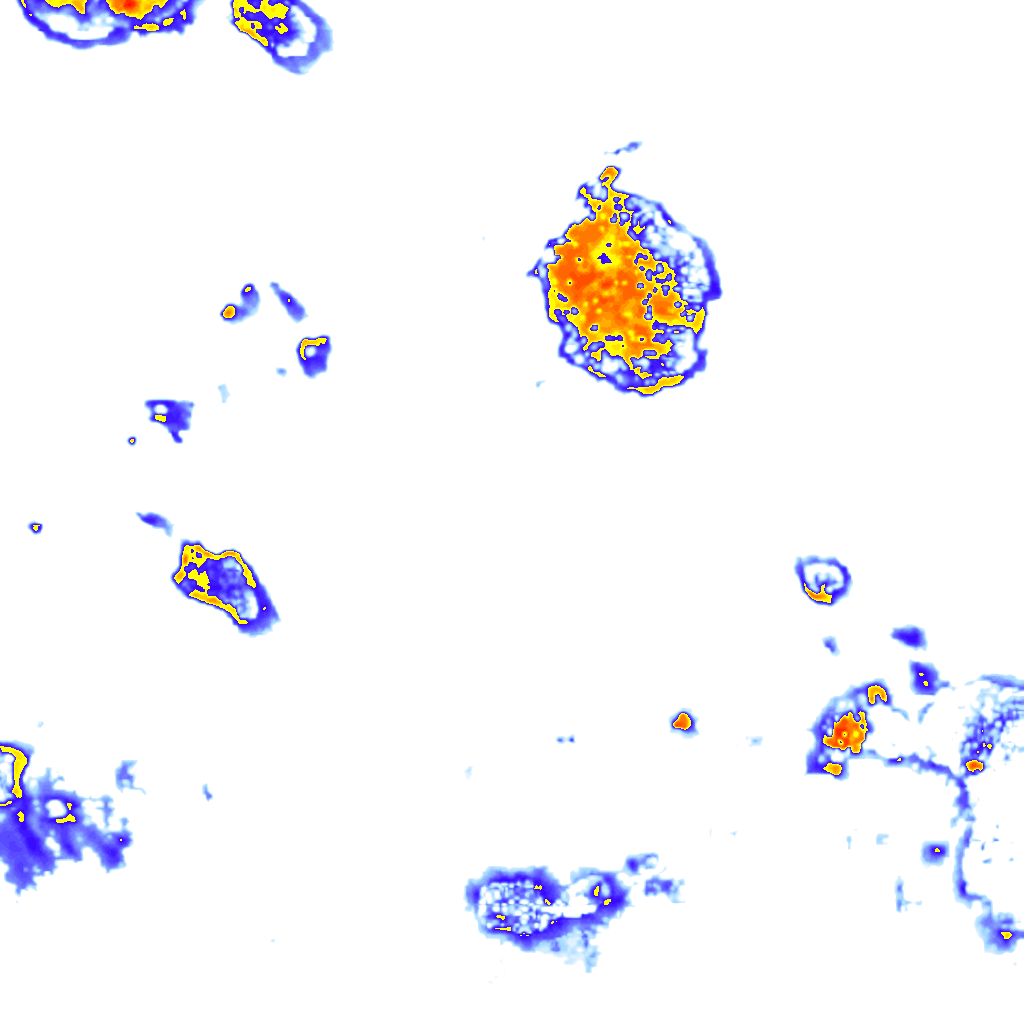 Image Layer
