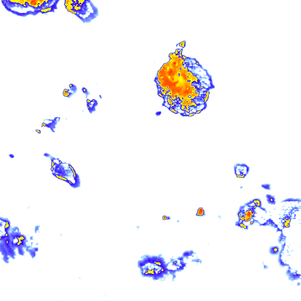 rainLayer