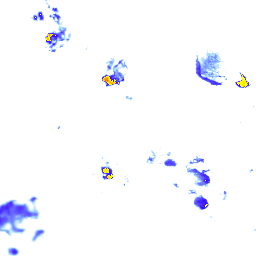 rainLayer