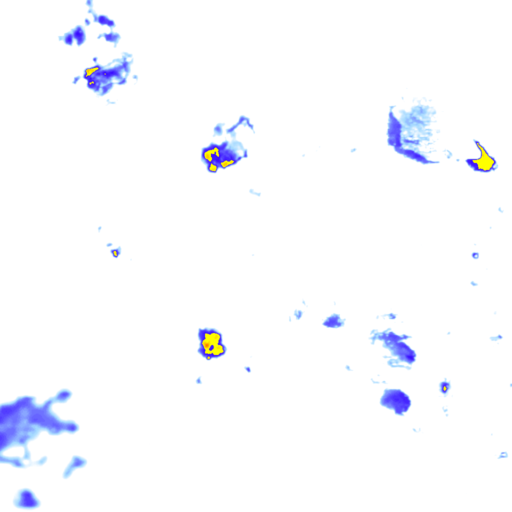 rainLayer