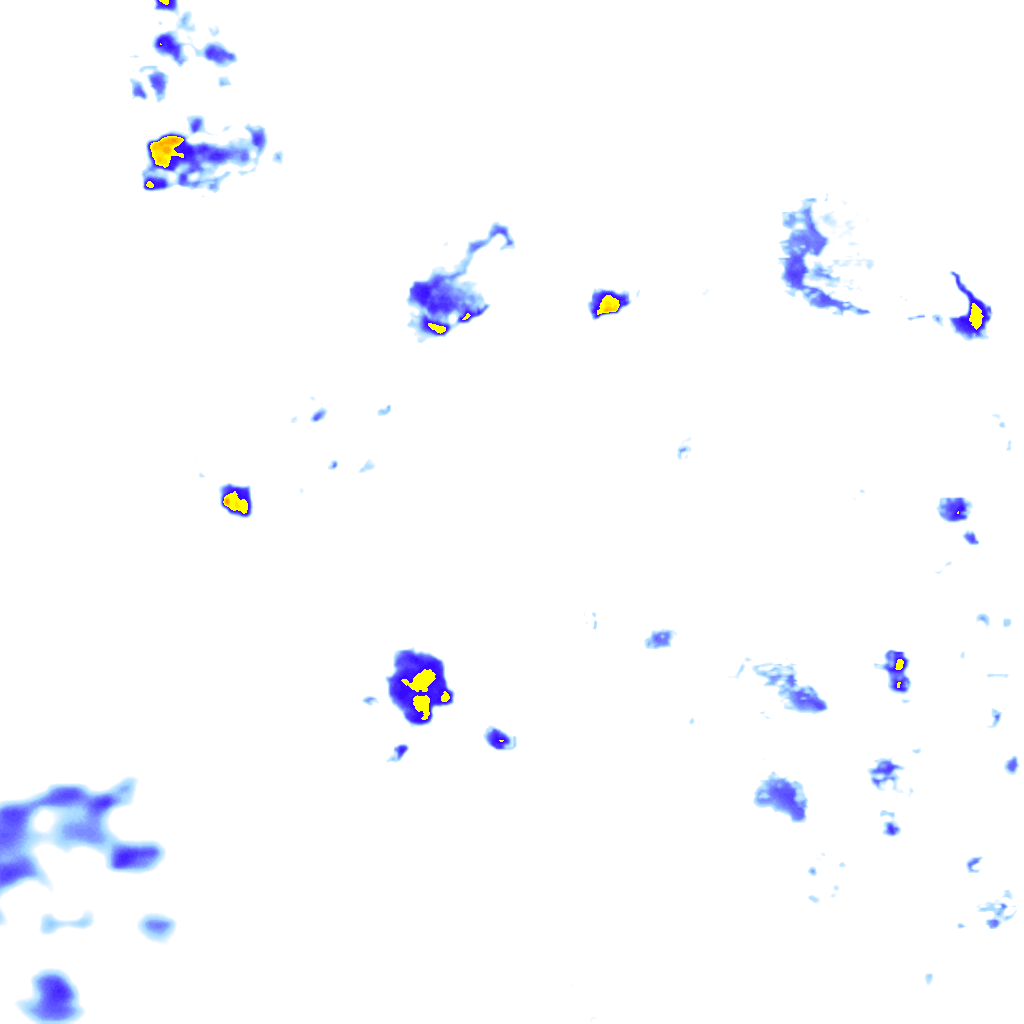 rainLayer