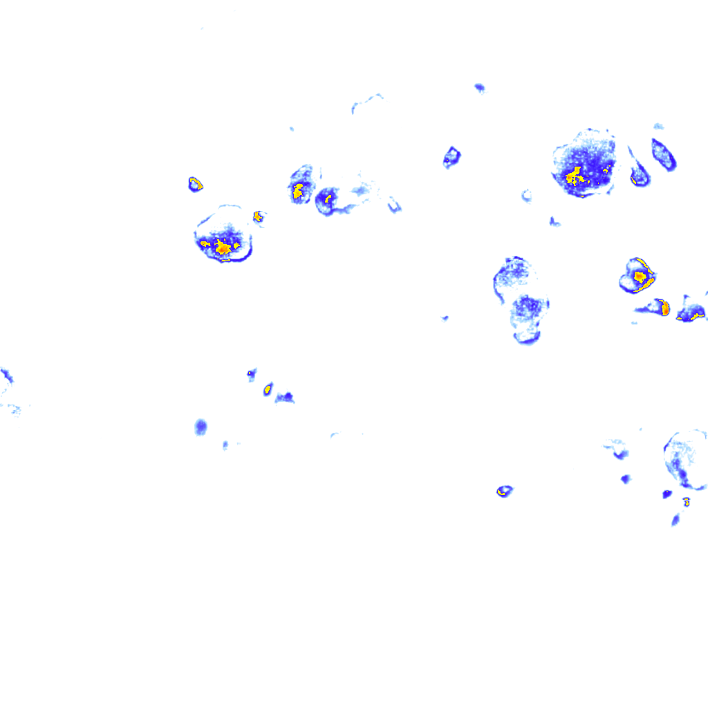 Image Layer