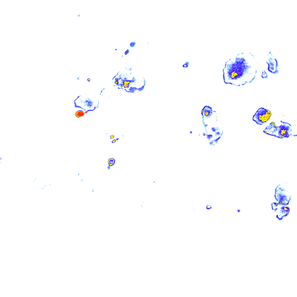 Image Layer