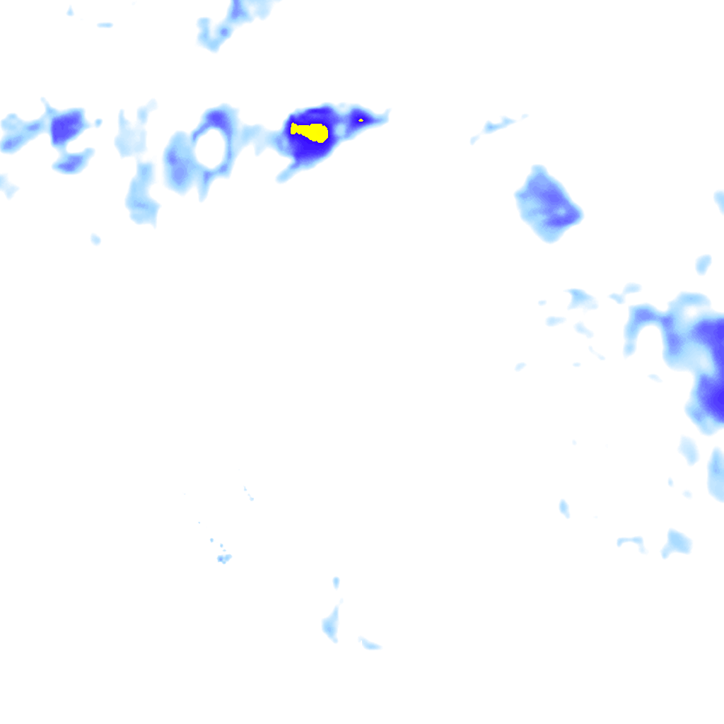 Image Layer
