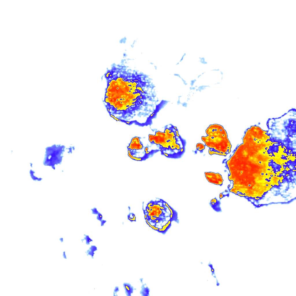 rainLayer