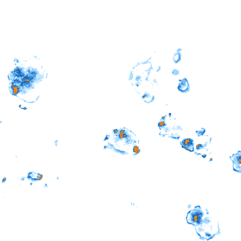 rain layer