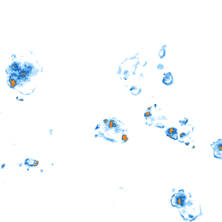 rain layer