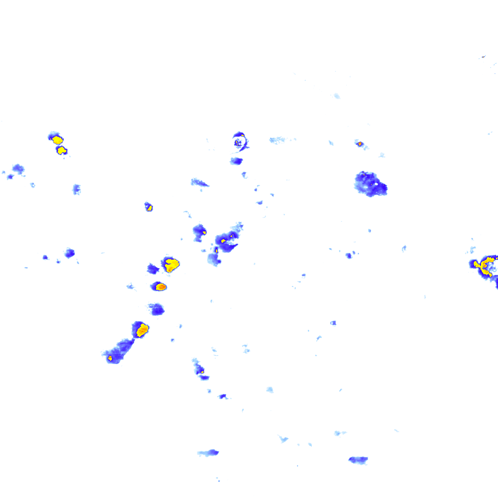 rainLayer