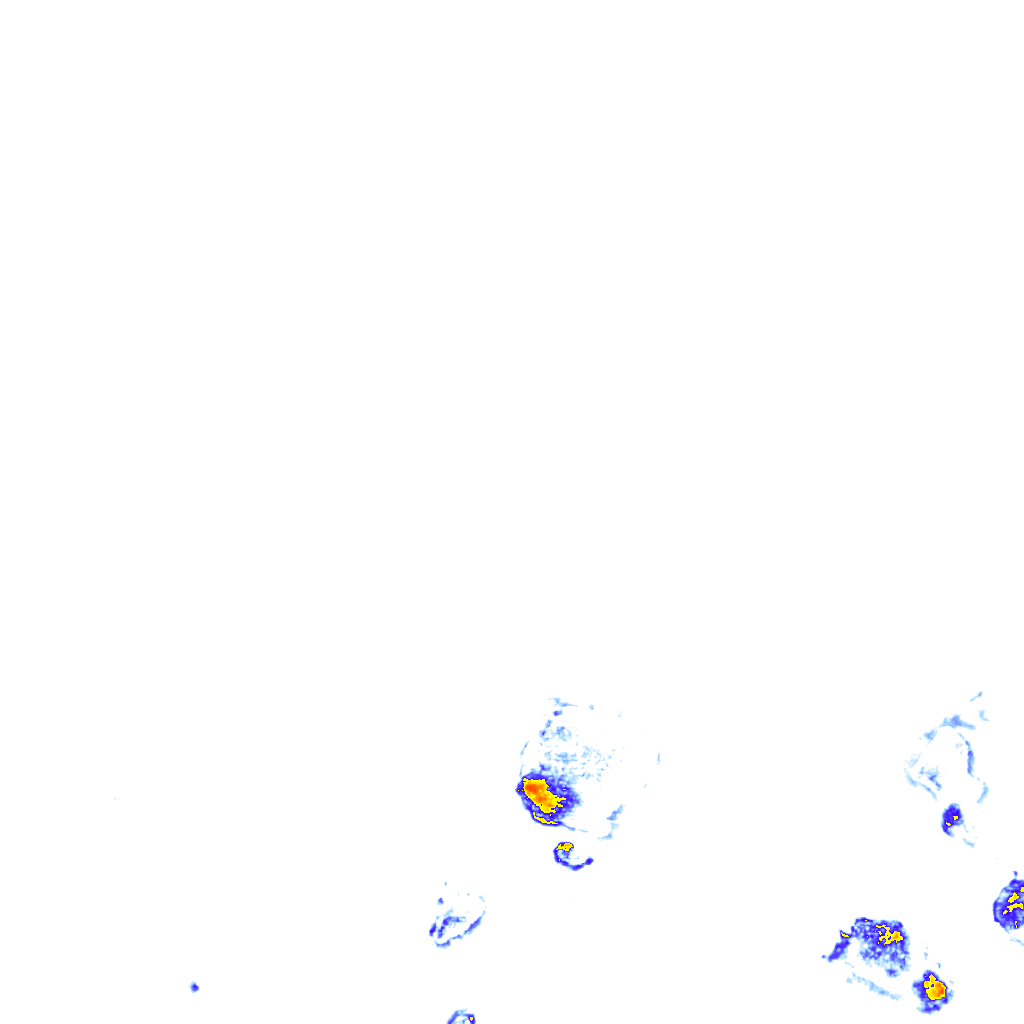 rainLayer