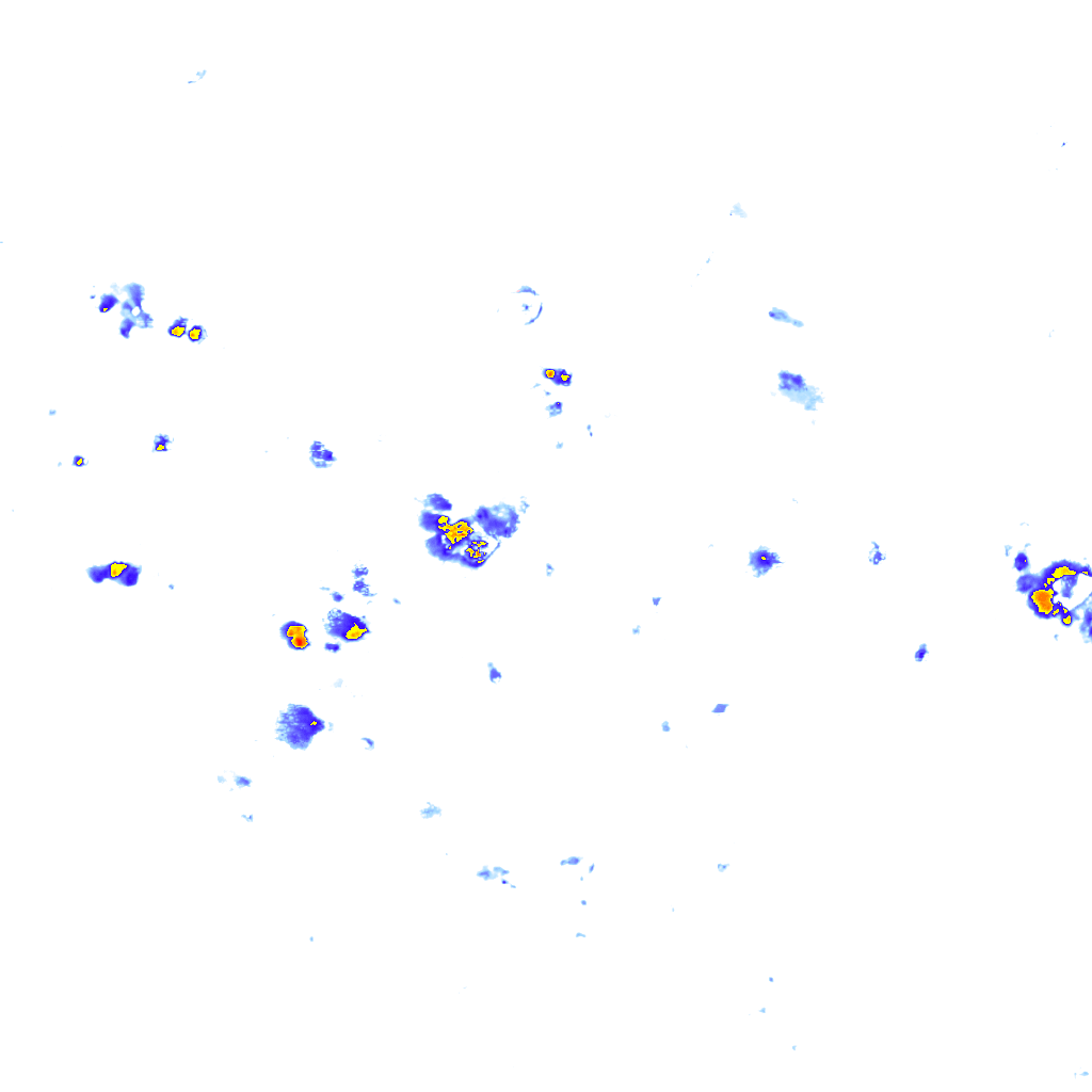 rainLayer
