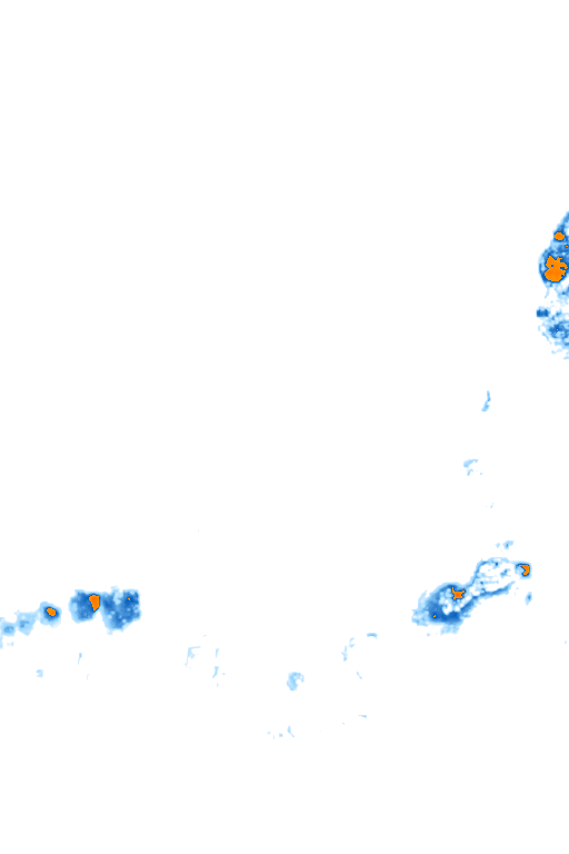 rain layer