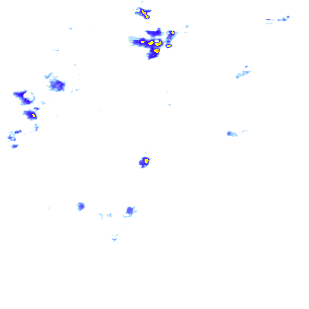 rainLayer