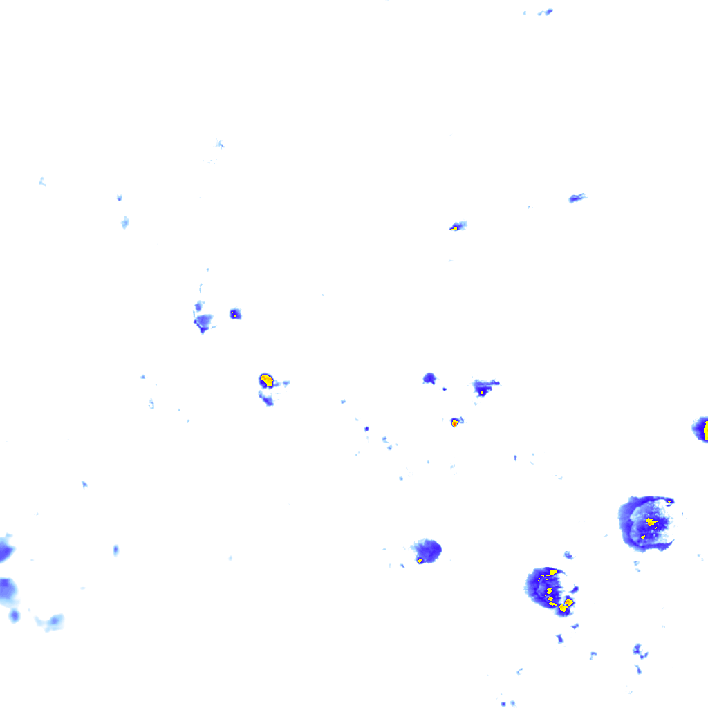 rainLayer