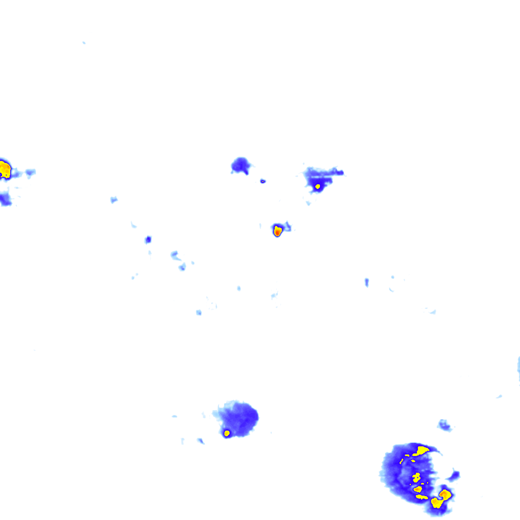 rainLayer