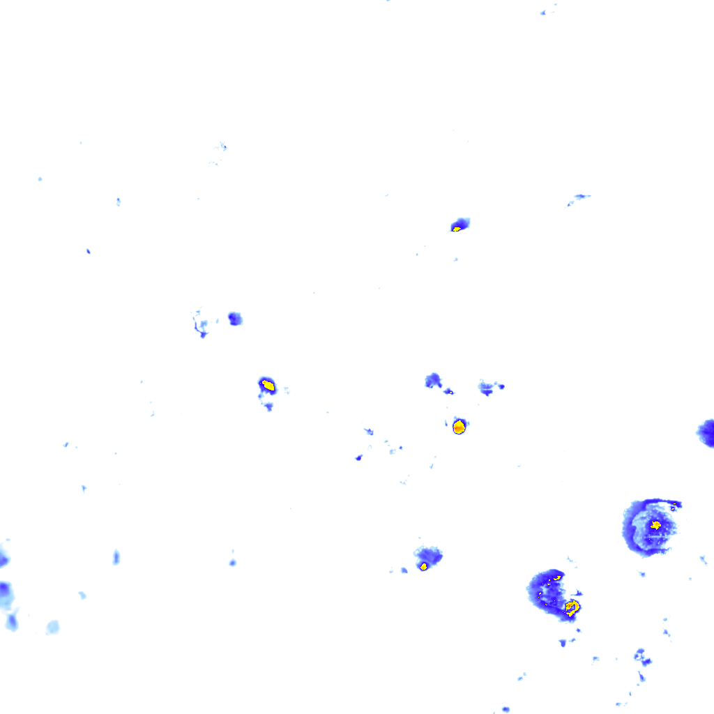 rainLayer