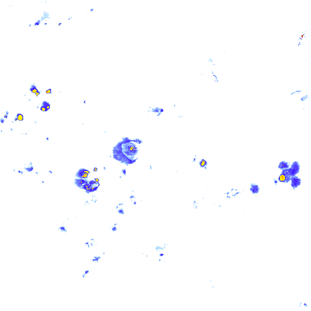 rainLayer