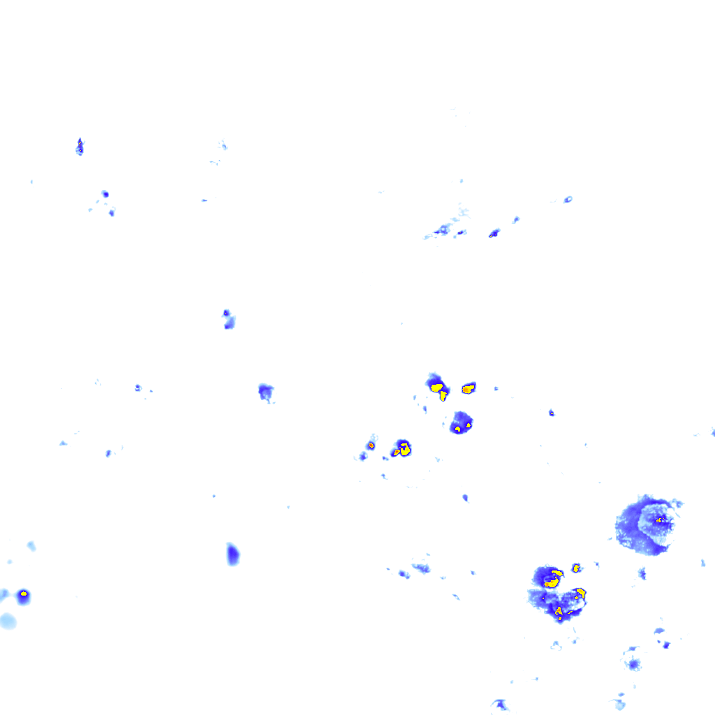 rainLayer