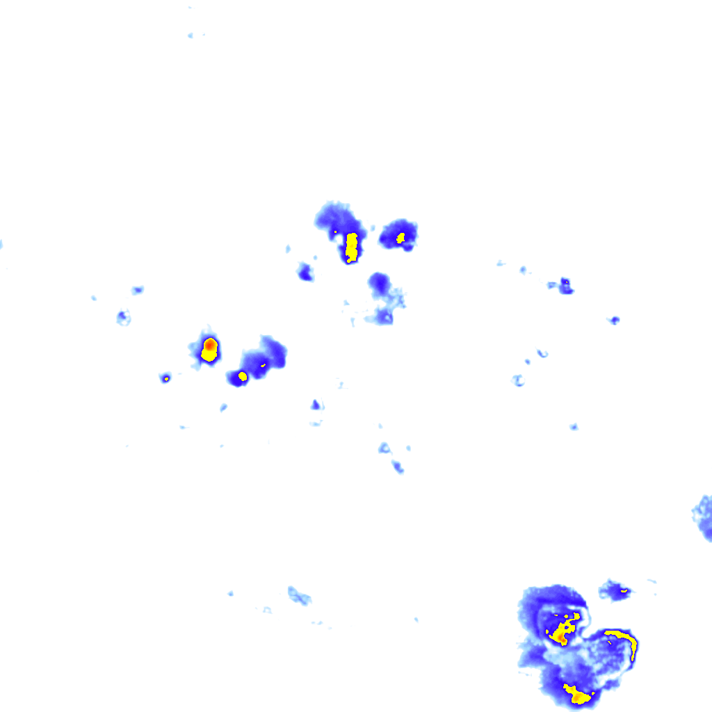 Image Layer
