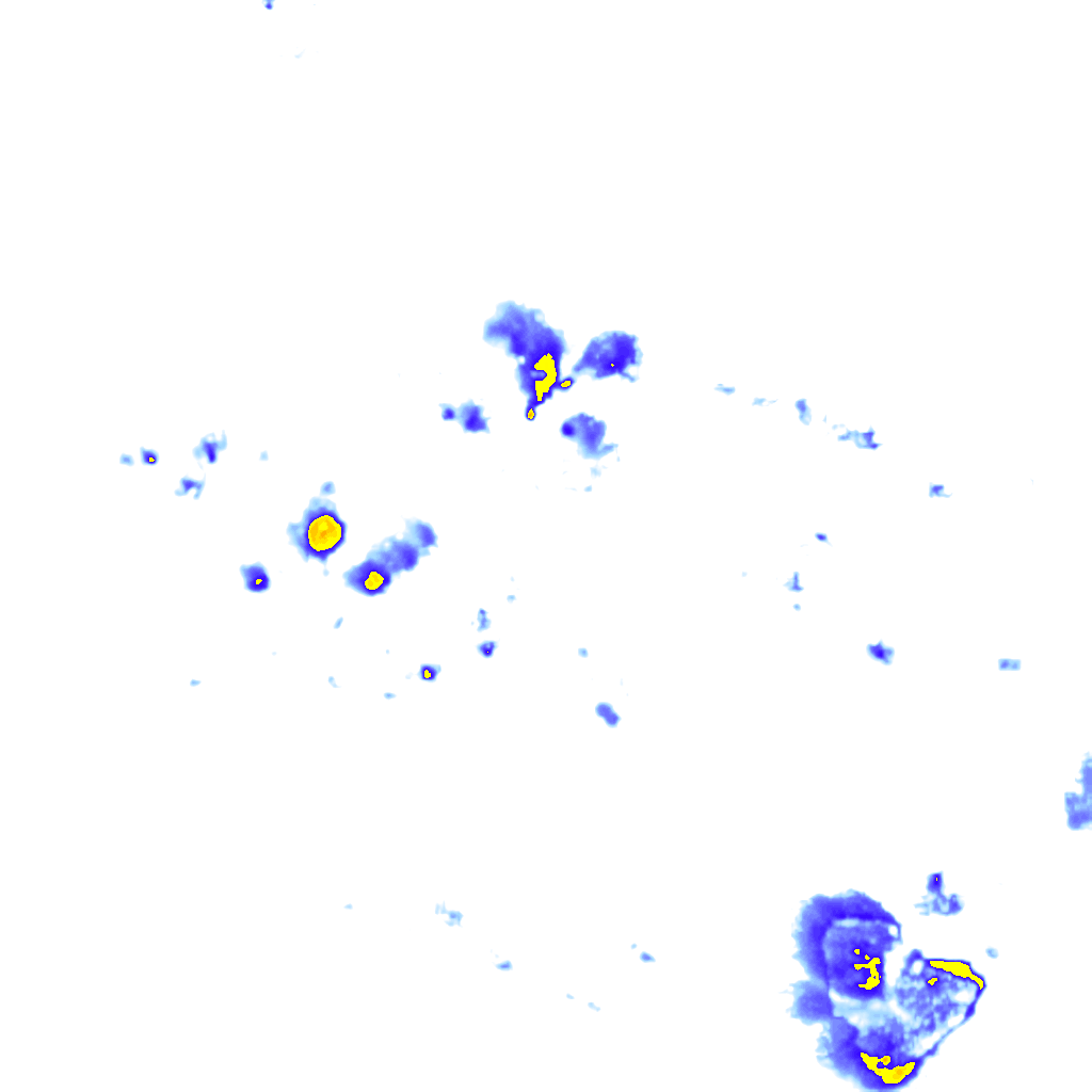 Image Layer