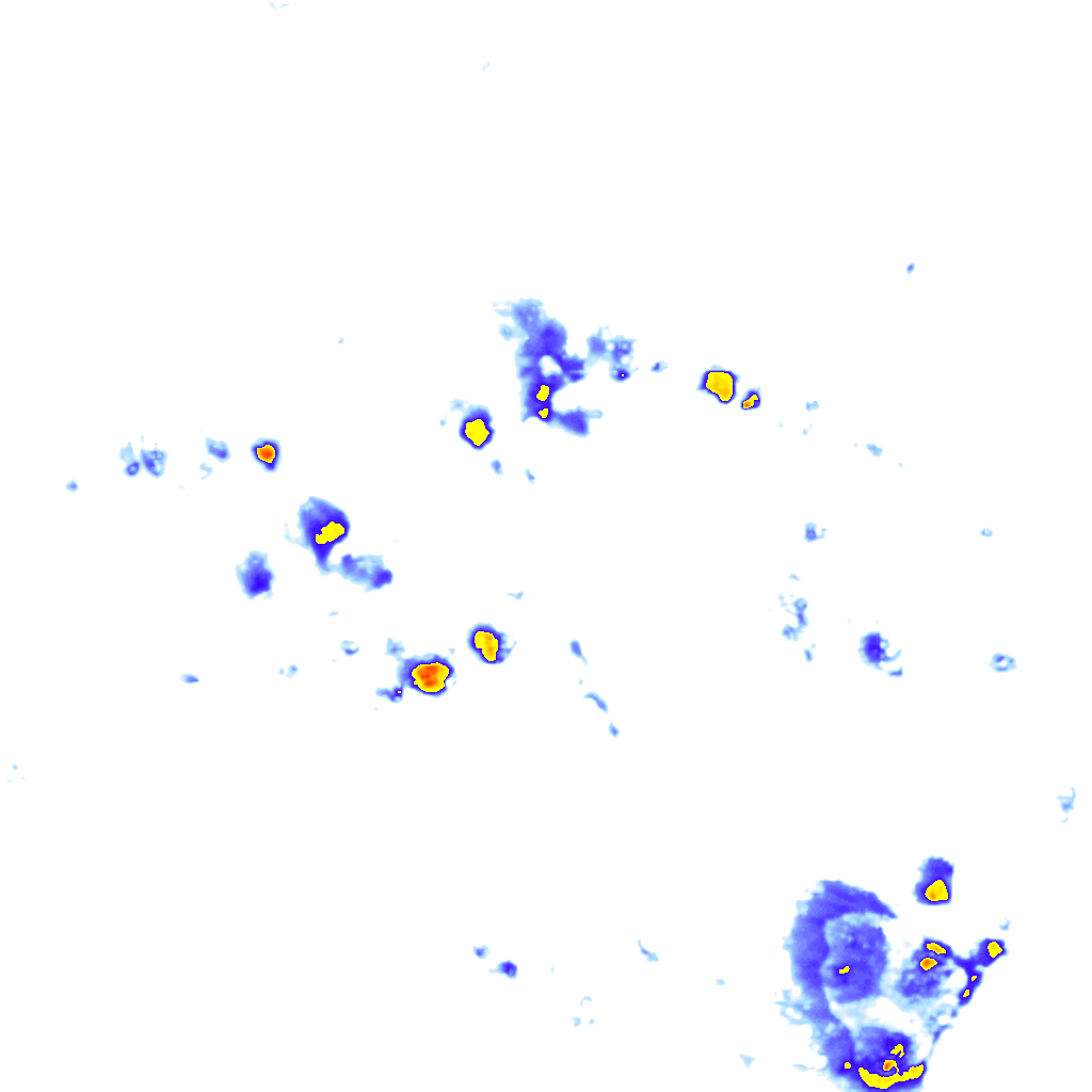 Image Layer